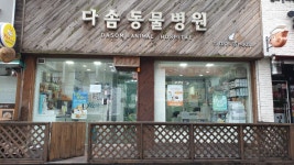 다솜 동물병원
