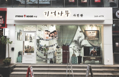 마산사진관 기억나무