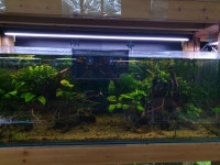 매력아쿠아수족관