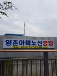 양촌아미노