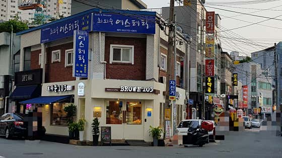 브라운103 사진