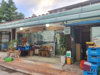 토담