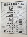 라이프헤어스타일
