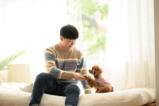 돌봄 강아지분양 서울송파점