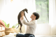 돌봄 강아지분양 서울송파점