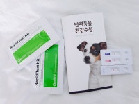 돌봄 강아지분양 서울송파점