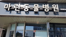 마린동물병원