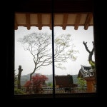 보성봉강리정씨고택