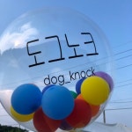 도그노크