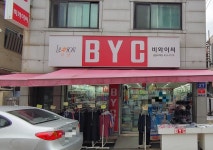 BYC 곰돌이백양