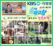 생초식당
