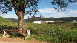 장남배수펌프장