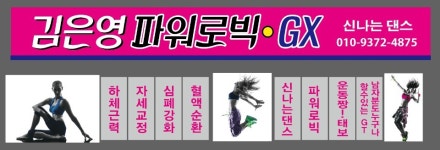 김은영파워로빅GX