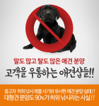 대형견프리미엄아울렛