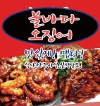 불바다오징어