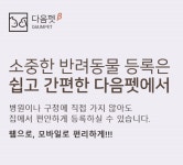 다음펫