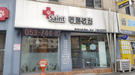 세인트동물병원