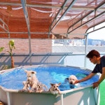 W반려동물케어센터