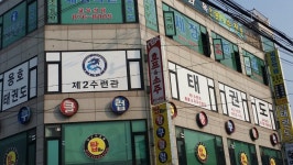 고려용호태권도 주안점