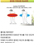 미인본가 여수점