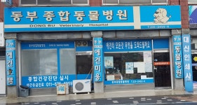 동부종합동물병원