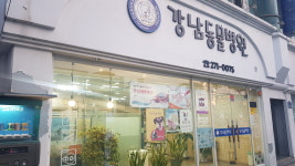 강남동물병원