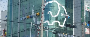 코끼리마취통증의학과의원