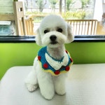 동그리멍