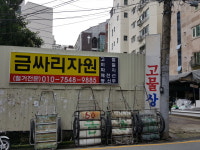 금싸리자원