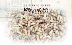 백만돌이굼벵이농원