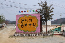 숲속에동물농장