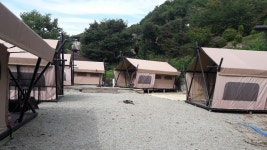 글램핑코리아 양주애견점