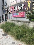 킹콩노래빠