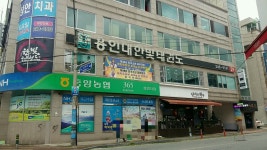 용인대한빛태권도