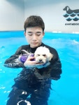 짐더독