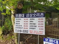 삼삼오리촌
