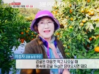 하례감귤체험농장