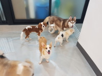 퍼펫애견카페