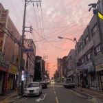미쁘다봄씨