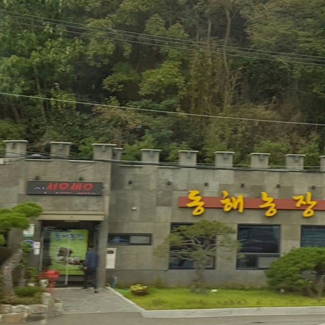 동해농장식당 돼지고기구이 대표 사진