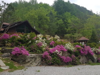펜션더밸리