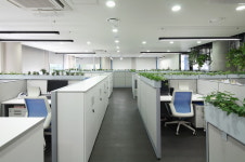 아이지엠디자인