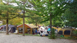 용문산야영장&글램핑캠핑장