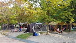 용문산야영장&글램핑캠핑장