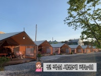 키즈팜 글램핑