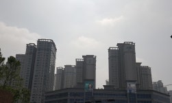단지내솔공인중개사사무소