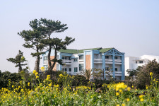 해돋는마을