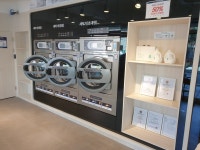 화이트365 양재점