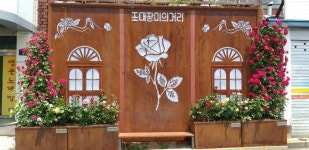 조대장미의거리