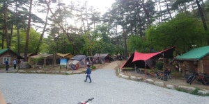 솔섬오토캠핑장